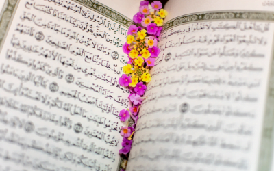 ولا تتمنوا ما فضل الله به بعضكم على بعض    